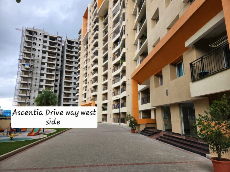 WhatsApp Image 2025-11-10 at 9.36