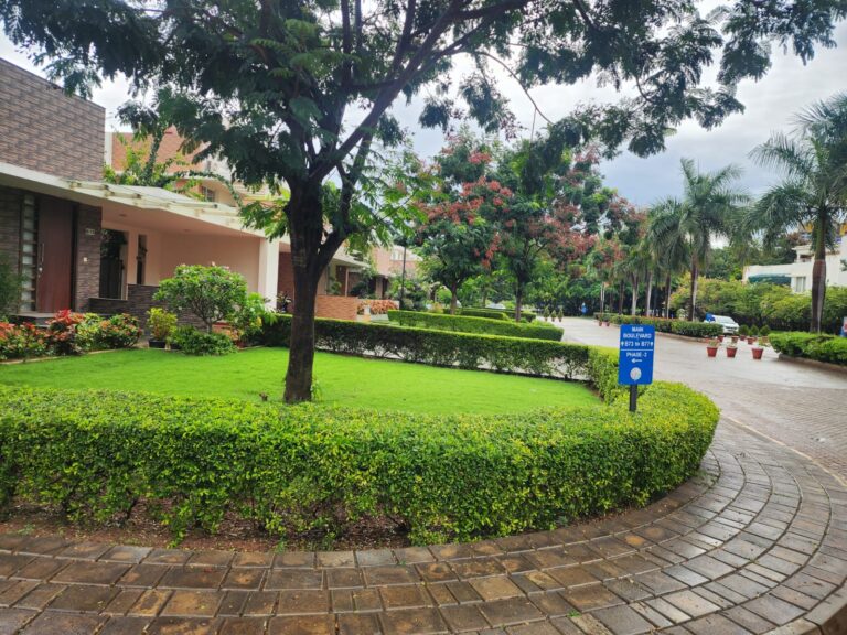 WhatsApp Image 2025-11-10 at 9.36