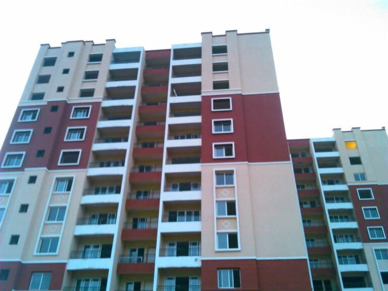 WhatsApp Image 2025-11-10 at 9.37