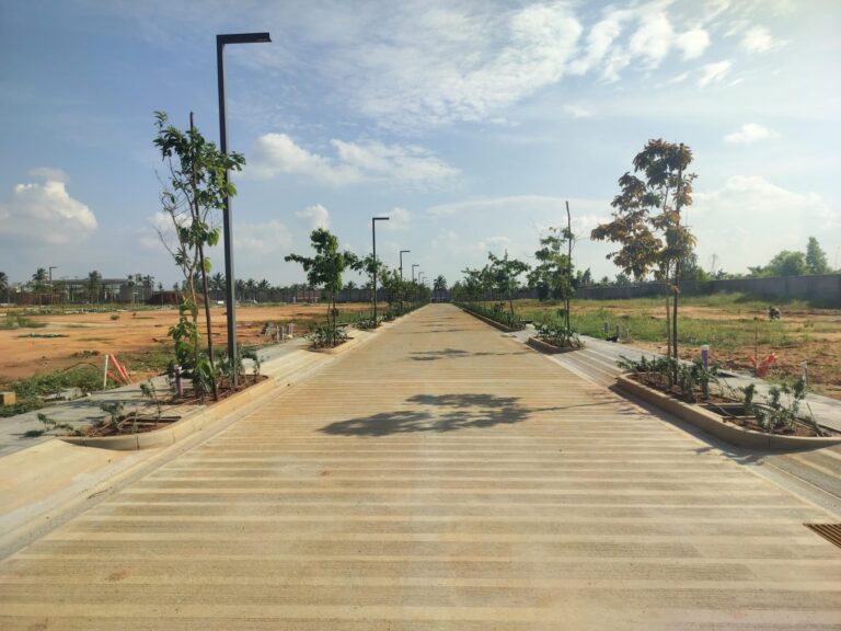 WhatsApp Image 2025-11-10 at 9.37